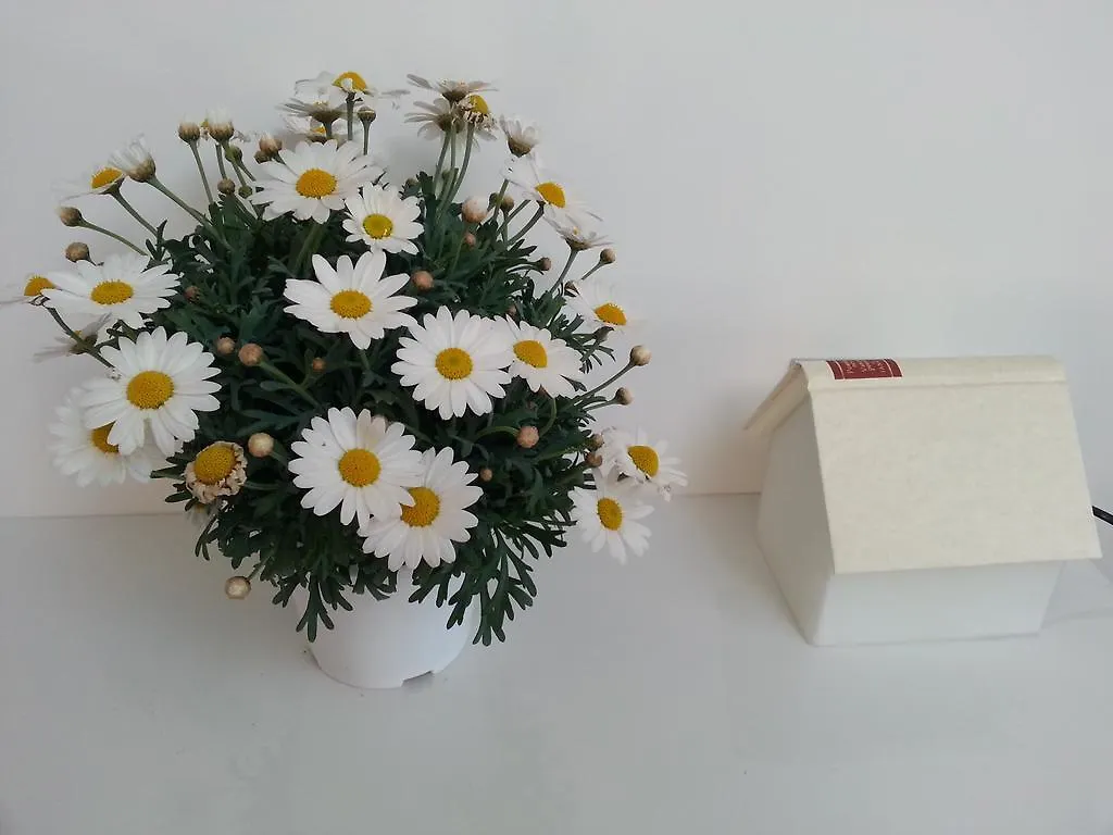 B&B Bergamo Alta Bed & Breakfast